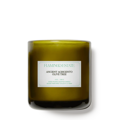 Ancient Agrigento Olive Tree Candle