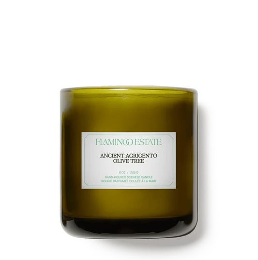 Ancient Agrigento Olive Tree Candle