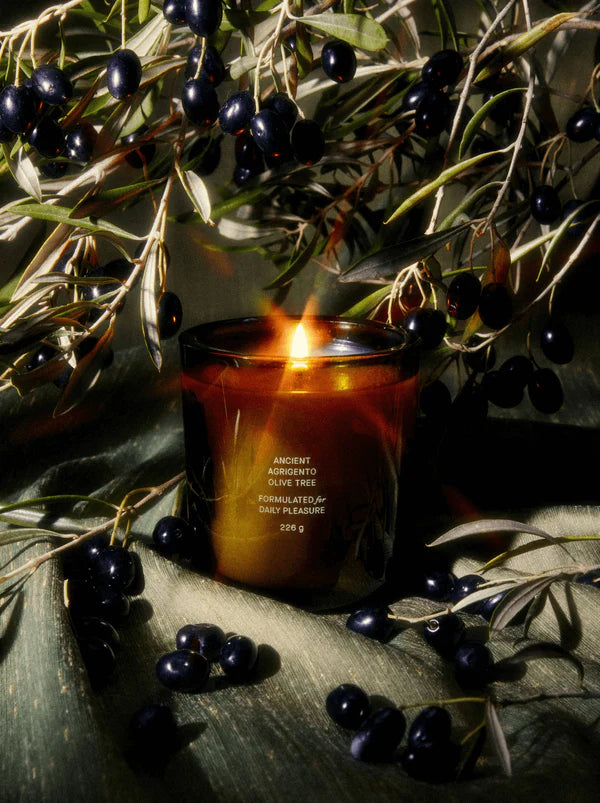 Ancient Agrigento Olive Tree Candle